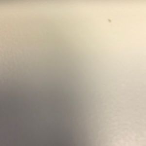 Meet your Posher, Bryant